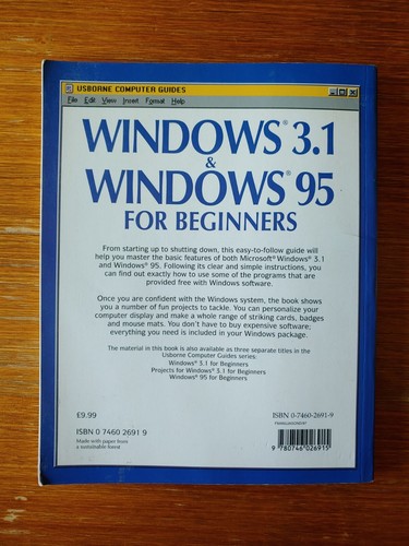 Windows 3.1 Windows 95 For Beginners - Usborne Computer Guides Vintage Computing - Picture 5 of 7