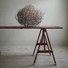 Genuine West Texas/New Mexico Tumbleweed For DYI Project