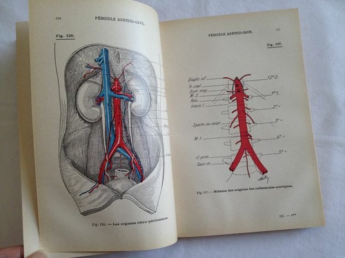 Précis D'anatomie. Tome 3 : Splanchnologie. Thorax. Abdomen. Bassin. Atlas - Imagen 8 de 9