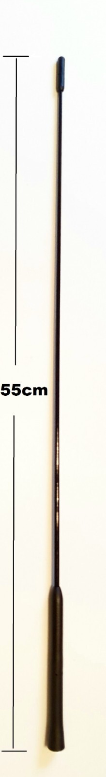 Bild 15 von 24
