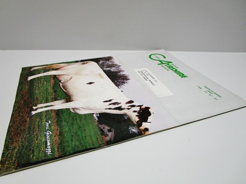 Vintage - Canadian AYRSHIRE REVIEW Magazine - March 1991 - Picture 6 of 6