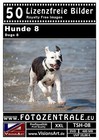 Bild 15 von 17
