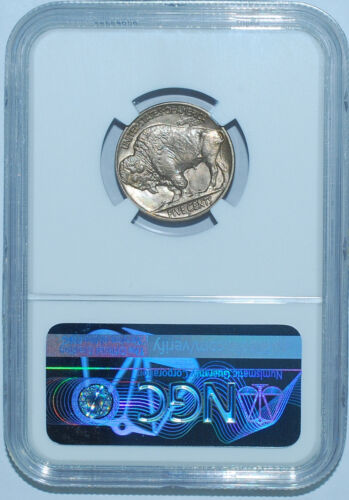 1913 D NGC MS66+ T2 Type 2 Buffalo Nickel - Picture 2 of 2
