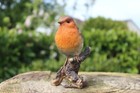 Vivid Arts Robin -Indoor Outdoor Garden Ornament Gift H 13cm