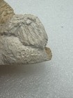 Picture 4 of 8