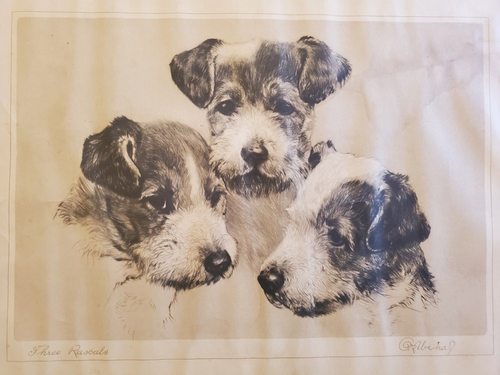VTG Three Rascals Print of Dog Portrait by Kurt Meyer-Eberhardt 1912-1916 - Picture 4 of 8