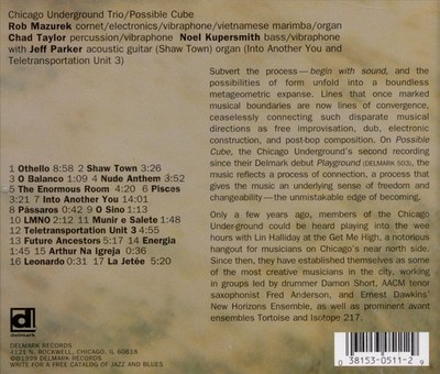 CHICAGO UNDERGROUND TRIO - POSSIBLE CUBE NEW CD