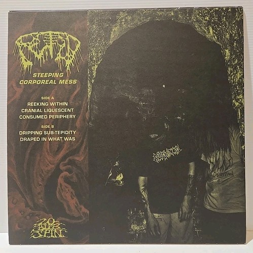 Fetid - Steeping Corporeal Mess - Vinyl LP - Near Mint - Picture 3 of 12