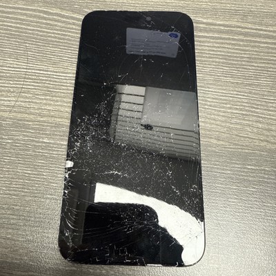OEM iPhone 15 Pro Max Original Screen Assembly OLED Dead READ | eBay