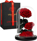 Eternal Flower in a Glass Dome: Preserved Rose - the Perfect Forever Infinity R
