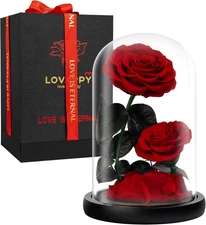 Eternal Flower in a Glass Dome: Preserved Rose - the Perfect Forever Infinity R