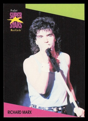 1991 Pro Set Series 1 Super Stars Musicards Rock Pop R&B Metal You Pick Choose - Picture 151 of 508