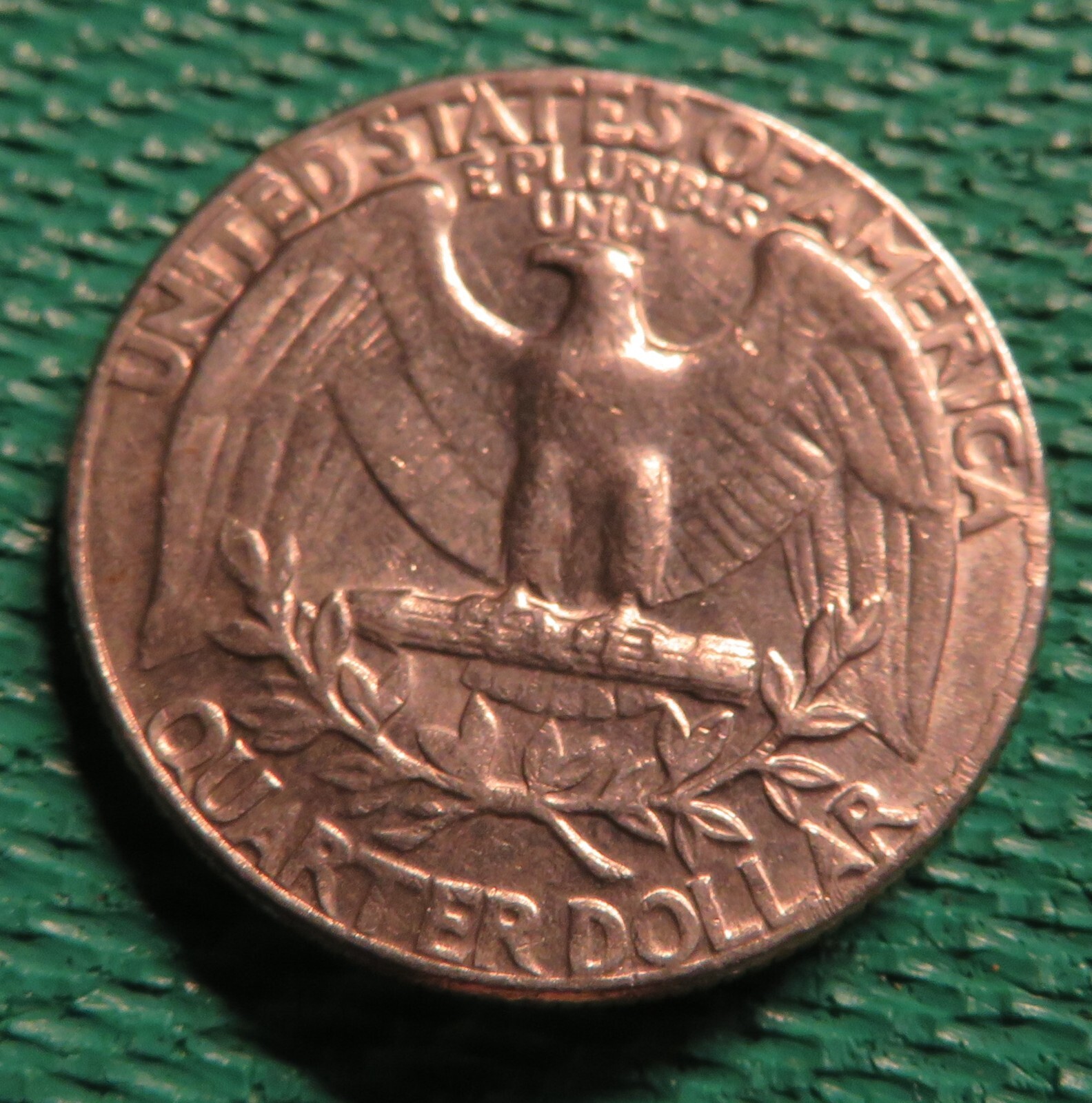 Picture 14 of 14