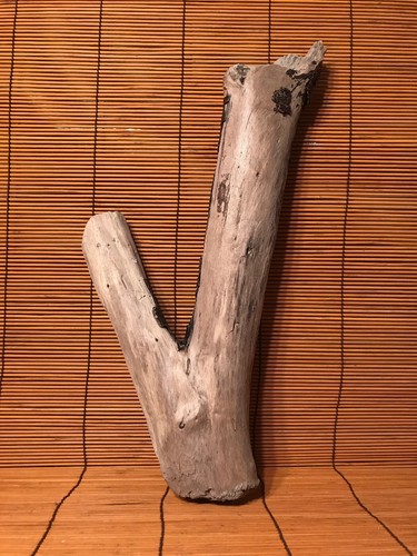 Hermosa pieza de madera a la deriva de 15" terrario reptil taxidermia acuario madera decoración - Imagen 1 de 11