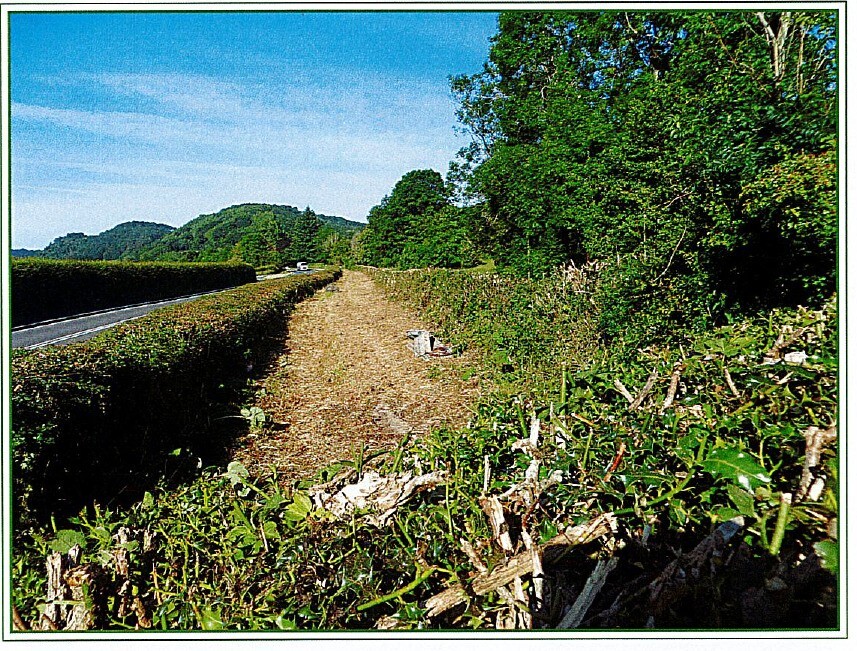 Freehold Land For Sale in Wales - UNDER OFFER PENDING SALE - Picture 2 of 4