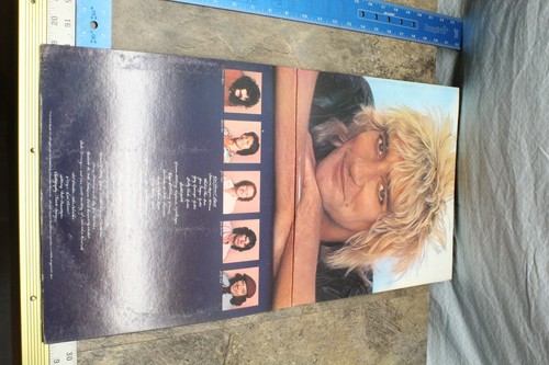 VINTAGE 1978 ROD STEWART "BLONDES HAVE MORE FUN" VINYL RECORD V4 - Picture 6 of 7