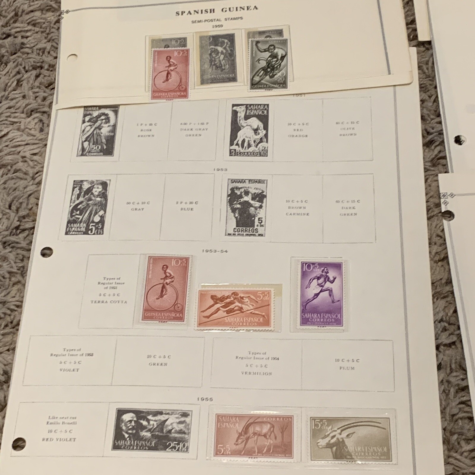 Picture 4 of 12