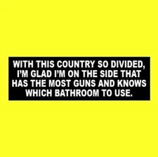Funny "WITH THIS COUNTRY SO DIVIDED" Anti Liberal STICKER gun rights Molon Labe