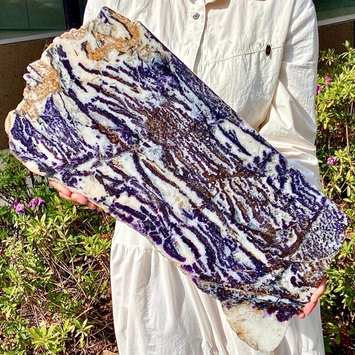 6.72LB Rare Zebra Stone Slices - Natural Crystal with Unique Stripes - Afbeelding 12 van 12