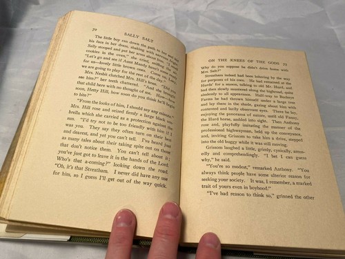 Sally Salt by Mrs. Woodrow Wilson Hardcover Book with Dust Jacket 1912 Antique - Picture 6 of 10