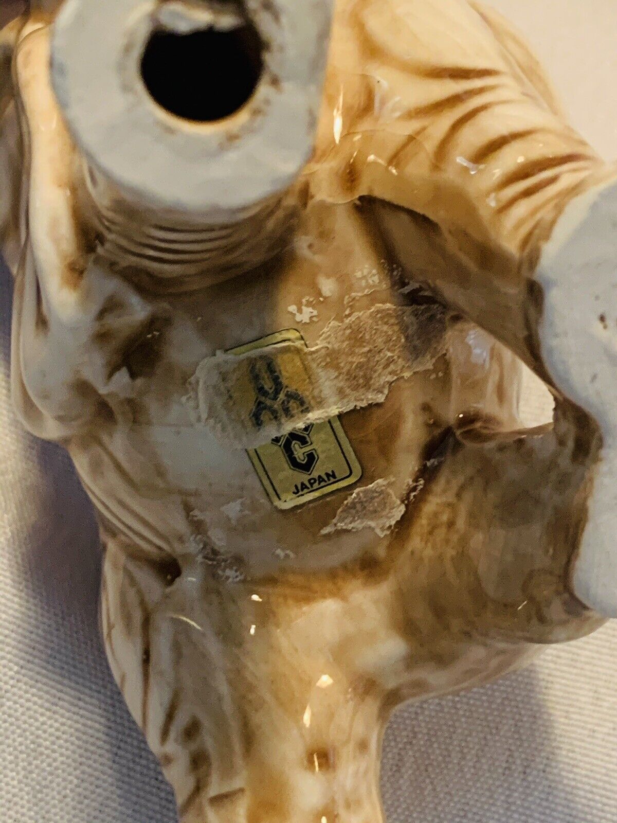 Picture 8 of 8