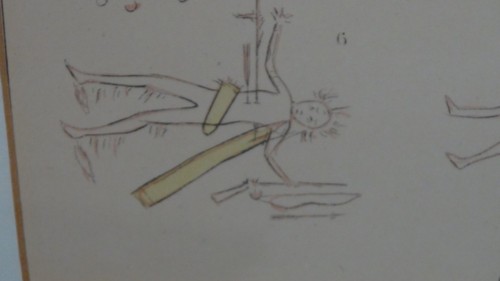 LITOGRAFÍA SOBRE PAPEL GEORGE CATLIN DE ILUSTRACIONES DE LOS MODALES, ADUANAS" - Imagen 5 de 6