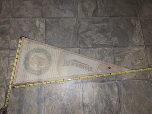 Baseball Pennant Minnesota Twins MLB 2010 - Picture 6 of 8