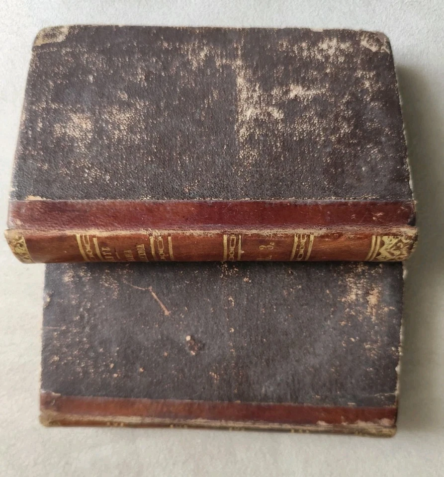 DANTE ALIGHIERI - LA DIVINA COMMEDIA- INFERNO E PARADISO - TORINO 1869 -  - Immagine 2 di 4