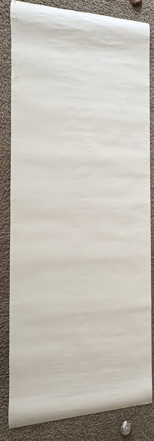 Foto 11 di 11