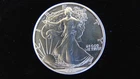 1991 American Silver Eagle 1 Troy Oz .999 Fine Silver ~ Nice