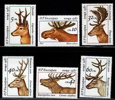 Bulgaria # 3256 - 3261 Mint NH Complete 1987 Set of 6 Deer - antlers - Fauna