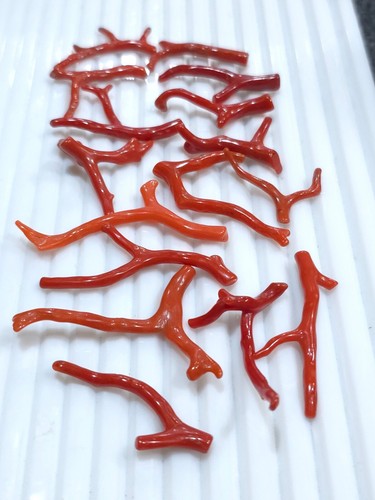 Tree Natural Red Coral gemstone, Branches of Coral, Undyed, polished Lot 16 Pcs - Picture 2 of 5