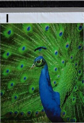 Green Peacock 1-1000 10x13 Boutique Designer Poly Mailer Bags Fast Shipping