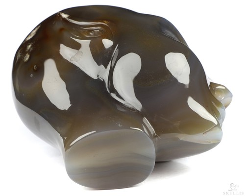 4.2" Premium Brazilian Agate Hand Carved Fairy Elf Alien Crystal Skull - Picture 7 of 8