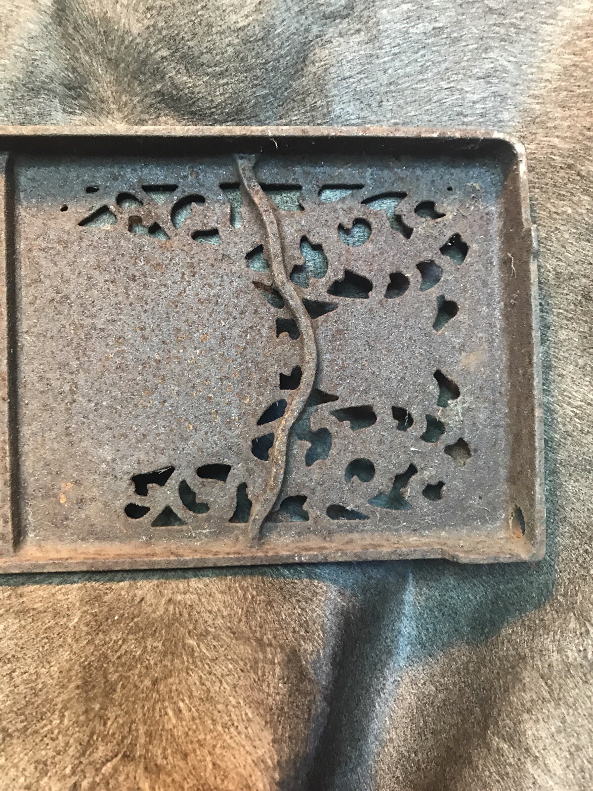 Picture 8 of 12