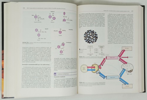 medizinisches Buch HUMANPHARMAKOLOGIE VOM MOLEKULAR BIS ZUR KLINIK Brody 2000 - Bild 8 von 12