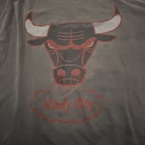 Vintage Mens T Shirt Size XL Chicago Bulls Windy City Gray Distressed - Picture 2 of 9
