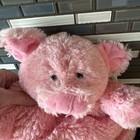 Foto 2 di 5