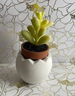 Cement Pot