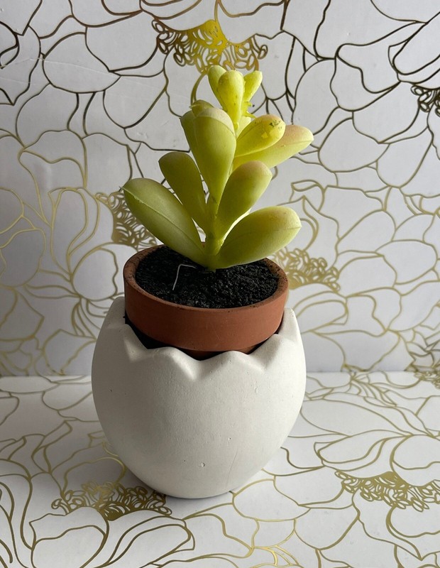 Cement Pot