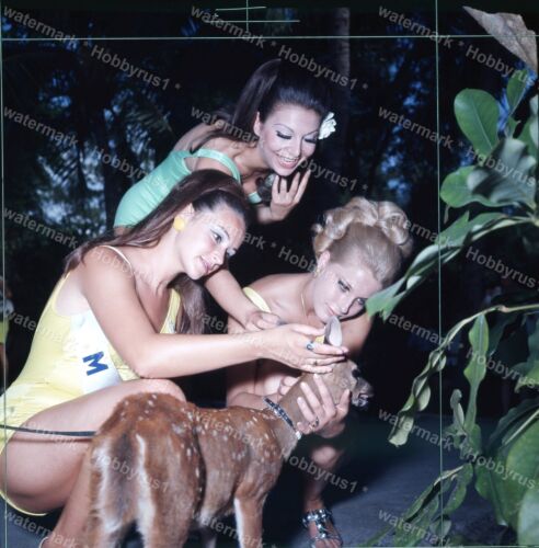 1970 Miss Universo Concorrenti 1970 Originale 120mm Foto Trasparenza - Foto 2 di 3
