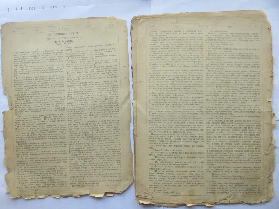 Tsarist Russia, popular, educational magazine Niva, with pictures 1894, ORIGINAL - Image 2 of 4