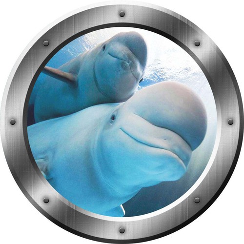 Calcomanía de pared pelar y pegar ballenas beluga océano ojo de buey plateado VWAQ - P021 - Imagen 2 de 3