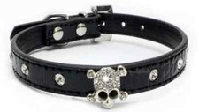 Dog Collar with Rhinestones Skull, Adjustable, Black, Faux Leather, XS S M L