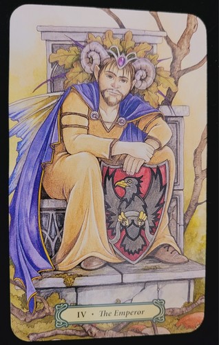 SEALED NEW~ MYSTIC FAERIE FAIRY TAROT CARDS & BOOK ORACLE MAGNETIC CLOSE BOX - Imagen 3 de 12
