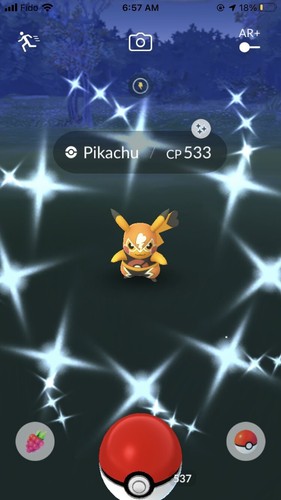 Rare GBL Shiny Pikachu Libre - Registered Trade - Custom Listing Haypen42