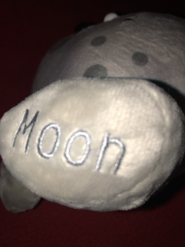 Neu mit Etikett Celestial Buddies der Mond 7 Zoll pädagogisches Sonnensystem Plüschtier 2014 Buddy - Bild 6 von 7