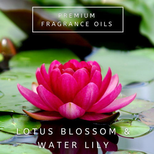 Premium Fragrance Oils 30ml For All Types of Electronic Diffusers & Mist Makers - Picture 24 of 45