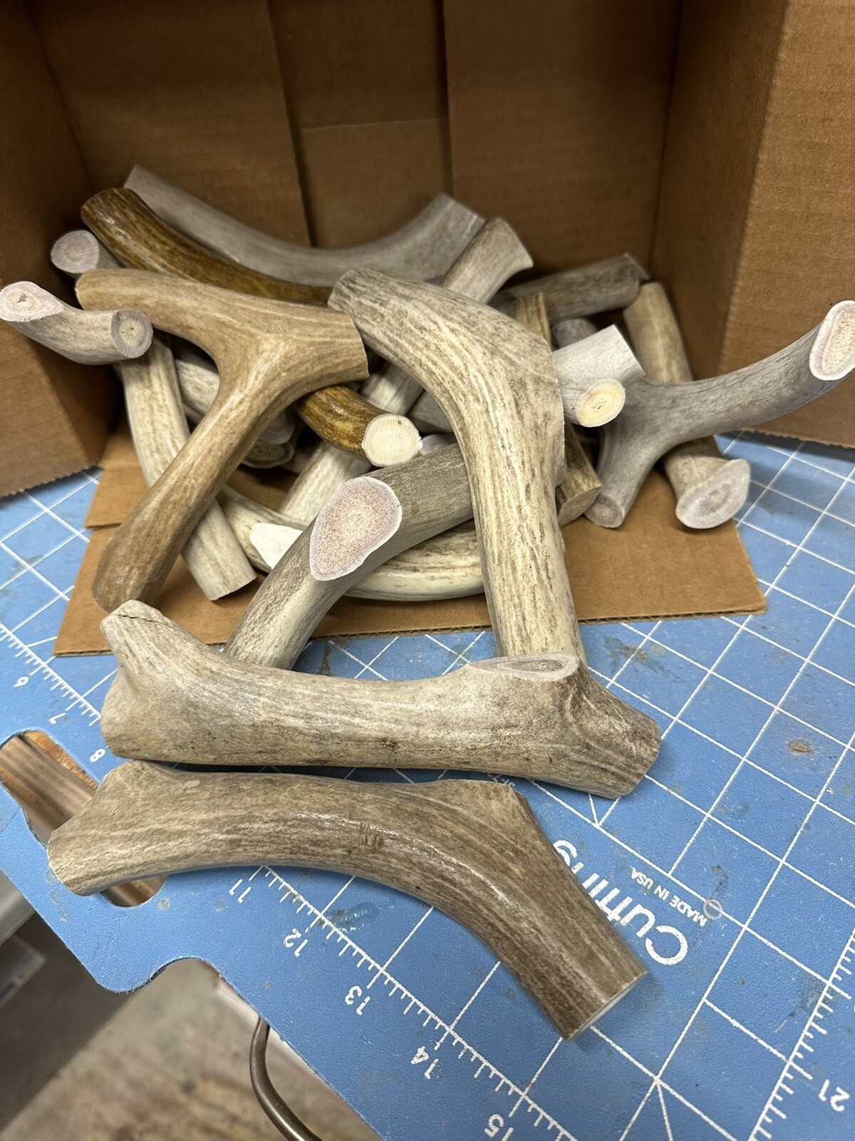 5 LBS Whitetail antler/sheds antlers dog chews, Pen blanks crafts Lot