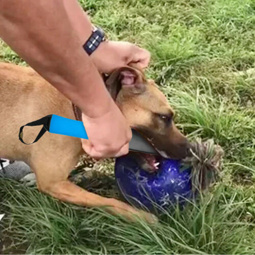 35cm Pitbull Dog Break Stick Dog No Bite Stick Part for Training K9 Police Dogs - Picture 12 of 14